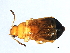  ( - 08BBCOL-0857)  @12 [ ] CreativeCommons - Attribution (2010) Unspecified Centre for Biodiversity Genomics