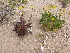  ( - CRUBST59-001)  @11 [ ] Copyright (2014) Cintia Souto Laboratorio Ecotono - CRUB- UNC