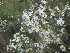  ( - CRUBST6-103)  @11 [ ] Copyright (2016) Cintia Souto Laboratorio Ecotono - CRUB- UNC