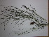  ( - CRUBST78-003)  @11 [ ] Copyright (2016) Cintia Souto Laboratorio Ecotono - CRUB- UNC