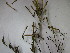  ( - CRUBST76-002)  @11 [ ] Copyright (2050) Cintia Souto Laboratorio Ecotono - CRUB- UNC