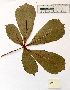  ( - BPTPS062)  @11 [ ] Copyright (2022) Instituto Nacional de Investigacao Agraria e Veterinaria Instituto Nacional de Investigacao Agraria e Veterinaria