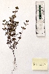  ( - BPTPS079)  @11 [ ] Copyright (2022) Instituto Nacional de Investigacao Agraria e Veterinaria Instituto Nacional de Investigacao Agraria e Veterinaria