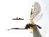  (Dacnusa abdita - NMS:Godfray:KPB-8383c)  @14 [ ] CreativeCommons - Attribution (2017) CBG Photography Group Centre for Biodiversity Genomics