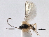  ( - NMS:Godfray:KPB-A189)  @12 [ ] CreativeCommons - Attribution (2015) CBG Photography Group Centre for Biodiversity Genomics
