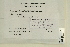  ( - CCDB-25691-A01)  @11 [ ] CreativeCommons - Attribution Non-Commercial Share-Alike (2018) Masha L. Kuzmina Canadian Centre for DNA Barcoding