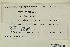  ( - CCDB-25691-A08)  @11 [ ] CreativeCommons - Attribution Non-Commercial Share-Alike (2018) Masha L. Kuzmina Canadian Centre for DNA Barcoding