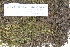  ( - CCDB-25691-E05)  @11 [ ] CreativeCommons - Attribution Non-Commercial Share-Alike (2018) Masha L. Kuzmina Canadian Centre for DNA Barcoding