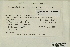  ( - CCDB-25691-E05)  @11 [ ] CreativeCommons - Attribution Non-Commercial Share-Alike (2018) Masha L. Kuzmina Canadian Centre for DNA Barcoding