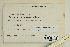  ( - CCDB-25691-F03)  @11 [ ] CreativeCommons - Attribution Non-Commercial Share-Alike (2018) Masha L. Kuzmina Canadian Centre for DNA Barcoding