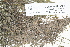 ( - CCDB-25691-F05)  @11 [ ] CreativeCommons - Attribution Non-Commercial Share-Alike (2018) Masha L. Kuzmina Canadian Centre for DNA Barcoding