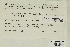  ( - CCDB-25691-F05)  @11 [ ] CreativeCommons - Attribution Non-Commercial Share-Alike (2018) Masha L. Kuzmina Canadian Centre for DNA Barcoding