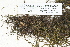  ( - CCDB-25691-G05)  @11 [ ] CreativeCommons - Attribution Non-Commercial Share-Alike (2018) Masha L. Kuzmina Canadian Centre for DNA Barcoding