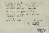  ( - CCDB-25691-G05)  @11 [ ] CreativeCommons - Attribution Non-Commercial Share-Alike (2018) Masha L. Kuzmina Canadian Centre for DNA Barcoding