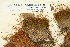  ( - CCDB-25691-H11)  @11 [ ] CreativeCommons - Attribution Non-Commercial Share-Alike (2018) Masha L. Kuzmina Canadian Centre for DNA Barcoding