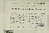  ( - CCDB-25691-H11)  @11 [ ] CreativeCommons - Attribution Non-Commercial Share-Alike (2018) Masha L. Kuzmina Canadian Centre for DNA Barcoding