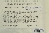  ( - CCDB-25692-C10)  @11 [ ] CreativeCommons - Attribution Non-Commercial Share-Alike (2018) Masha L. Kuzmina Canadian Centre for DNA Barcoding