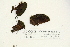  ( - CCDB-25692-E10)  @11 [ ] CreativeCommons - Attribution Non-Commercial Share-Alike (2018) Masha L. Kuzmina Canadian Centre for DNA Barcoding