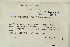  ( - CCDB-25693-F08)  @11 [ ] CreativeCommons - Attribution Non-Commercial Share-Alike (2018) Masha L. Kuzmina Canadian Centre for DNA Barcoding