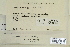  ( - CCDB-25693-G11)  @11 [ ] CreativeCommons - Attribution Non-Commercial Share-Alike (2018) Masha L. Kuzmina Canadian Centre for DNA Barcoding