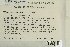  ( - CCDB-25693-H08)  @11 [ ] CreativeCommons - Attribution Non-Commercial Share-Alike (2018) Masha L. Kuzmina Canadian Centre for DNA Barcoding