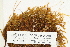  ( - CCDB-25694-A01)  @11 [ ] CreativeCommons - Attribution Non-Commercial Share-Alike (2018) Masha L. Kuzmina Canadian Centre for DNA Barcoding