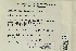  ( - CCDB-25694-A01)  @11 [ ] CreativeCommons - Attribution Non-Commercial Share-Alike (2018) Masha L. Kuzmina Canadian Centre for DNA Barcoding