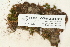  ( - CCDB-25694-B05)  @11 [ ] CreativeCommons - Attribution Non-Commercial Share-Alike (2018) Masha L. Kuzmina Canadian Centre for DNA Barcoding