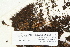  ( - CCDB-25694-F11)  @11 [ ] CreativeCommons - Attribution Non-Commercial Share-Alike (2018) Masha L. Kuzmina Canadian Centre for DNA Barcoding