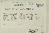  ( - CCDB-25694-F11)  @11 [ ] CreativeCommons - Attribution Non-Commercial Share-Alike (2018) Masha L. Kuzmina Canadian Centre for DNA Barcoding
