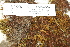  ( - CCDB-25694-G06)  @11 [ ] CreativeCommons - Attribution Non-Commercial Share-Alike (2018) Masha L. Kuzmina Canadian Centre for DNA Barcoding