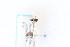  ( - CNC2014221)  @11 [ ] CreativeCommons - Attribution Share-Alike (2024) Unspecified Canadian National Collection of Insects, Arachnids and Nematodes