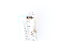  ( - CNC2014226)  @11 [ ] CreativeCommons - Attribution Share-Alike (2024) Unspecified Canadian National Collection of Insects, Arachnids and Nematodes