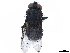  ( - BIOUG51566-B09)  @13 [ ] CreativeCommons - Attribution (2020) CBG Photography Group Centre for Biodiversity Genomics