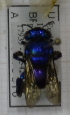  ( - 05664 H02-EaURU)  @12 [ ] CreativeCommons - Attribution Non-Commercial Share-Alike (2015) Unspecified Universidade Federal de Minas Gerais