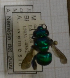  ( - 14487 E12-EcMUR)  @12 [ ] CreativeCommons - Attribution Non-Commercial Share-Alike (2015) Unspecified Universidade Federal de Minas Gerais