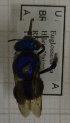  ( - 14491 E08-EmUNA)  @12 [ ] CreativeCommons - Attribution Non-Commercial Share-Alike (2015) Unspecified Universidade Federal de Minas Gerais