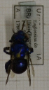  ( - 14491 E09-EmURU)  @12 [ ] CreativeCommons - Attribution Non-Commercial Share-Alike (2015) Unspecified Universidade Federal de Minas Gerais