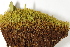  ( - CCDB-34698-B09)  @11 [ ] CreativeCommons - Attribution (2019) CBG Photography Group Centre for Biodiversity Genomics