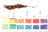  ( - CCDB-34701-H01)  @11 [ ] CreativeCommons - Attribution (2019) CBG Photography Group Centre for Biodiversity Genomics