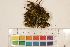  ( - CCDB-34701-H09)  @11 [ ] CreativeCommons - Attribution (2019) CBG Photography Group Centre for Biodiversity Genomics
