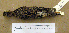  ( - JGS 2122)  @14 [ ] CreativeCommons - Attribution (2010) Unspecified Royal Ontario Museum