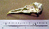  ( - RRS 265)  @11 [ ] CreativeCommons - Attribution (2010) Unspecified Royal Ontario Museum