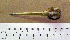  ( - 1B-2666)  @12 [ ] CreativeCommons - Attribution (2010) Unspecified Royal Ontario Museum