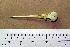  ( - JGS 1651)  @12 [ ] CreativeCommons - Attribution (2010) Unspecified Royal Ontario Museum