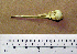  ( - JGS 1651)  @12 [ ] CreativeCommons - Attribution (2010) Unspecified Royal Ontario Museum