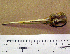  ( - 1B-243)  @12 [ ] CreativeCommons - Attribution (2010) Unspecified Royal Ontario Museum