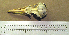  ( - AML 8)  @12 [ ] CreativeCommons - Attribution (2010) Unspecified Royal Ontario Museum