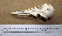  ( - RRS 324)  @11 [ ] CreativeCommons - Attribution (2010) Unspecified Royal Ontario Museum