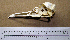  ( - RRS 324)  @11 [ ] CreativeCommons - Attribution (2010) Unspecified Royal Ontario Museum